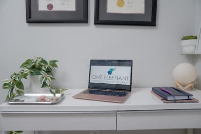 One Elephant Integrative Health Team