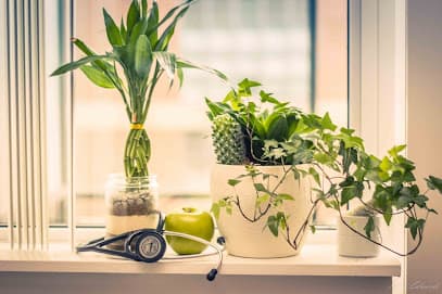 NatCan Integrative Medical & Wellness Centre