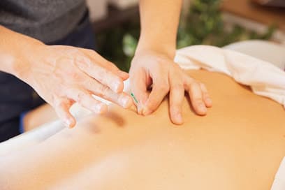 Nest Integrative Wellness