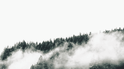 Pine Integrated Health Centre- EDMONTON