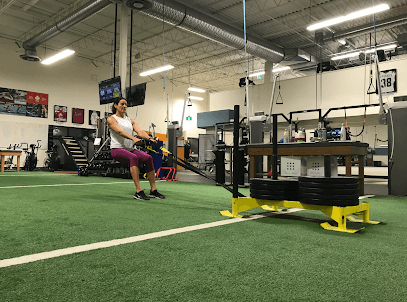 STRIVE Fitness and Therapy