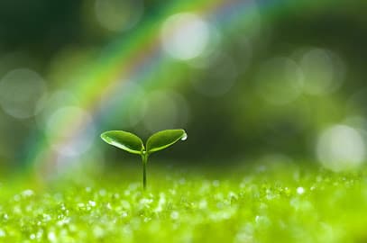 Bright Moon Wellness